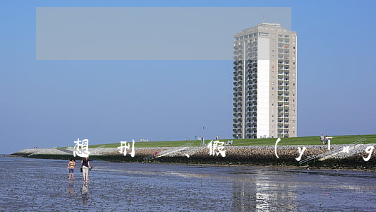 想緩刑、假釋應(yīng)居住地等問題